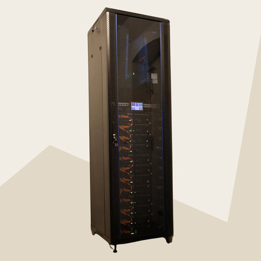 Batterie domestique intelligente Plug-and-Play Victron + Dyness LifePo4